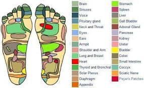 Printable Reflexology Foot Chart Showing Pressure Points