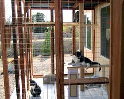Cat Enclosures