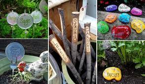 Ideas To Label The Garden Plants