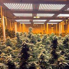 how to build a grow room ultimate