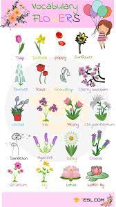 list of flowers 200 flower names with