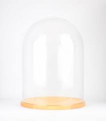 Large Glass Display Cloche Bell Jar Dome