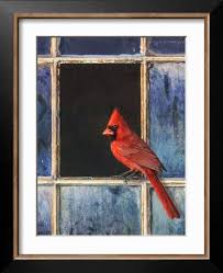 Cardinal Window' Art Print - Chris Vest | Art.com