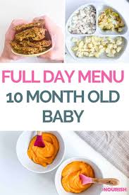 10 month old meal plan nutritionist