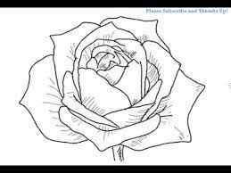 how to draw an open rose flower