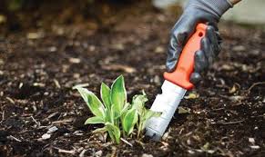 10 Essential Gardening Tools Every