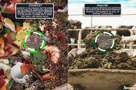compost vs manure for vegetable garden