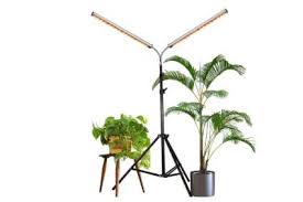Use indoor grow lights for seed starting success! 11 Best Floor Plant Lights For Indoor Growing 2019 Heavy Com