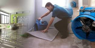 Flooded Carpet Cleaning Deep Steam