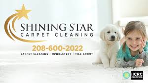 rsvp 1 shining star carpet cleaning