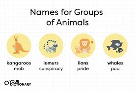 list of names for groups of s a