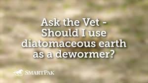 ask the vet should i use diatomaceous