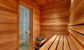 glass door for sauna room