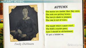 Emily Dickinson Poems Interpretation gambar png