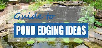 List Of Wildlife Pond Edging Ideas 2022