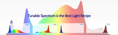 Check spelling or type a new query. Tunable Spectrum Is The Best Light Recipe Koray Led Grow Lights