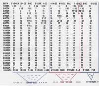 Mastiff Height Chart Cane Corso Growth Chart