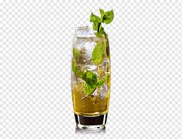 mojito mint julep rum and e tail