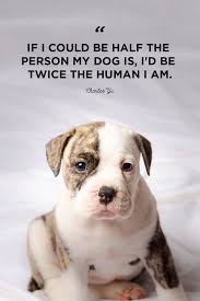 32 love is like a dog. 40 Best Dog Quotes Cute Sweet Quotes About Dogs
