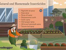 Organic pest control methods are not only environmentally friendly but they are healthier and generally less costly than chemical pesticides. 8 Natural Homemade Insecticides Save Your Garden Without Killing The Earth