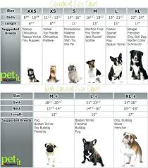 Unfolded Chihuahua Weight And Growth Chart Miniature Poodle