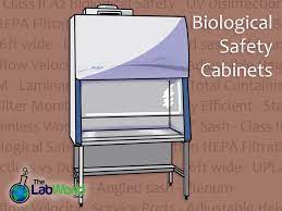 what is a biosafety cabinet the lab