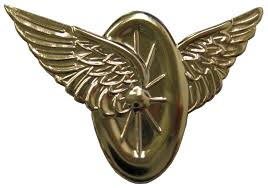 motorcycle officer wings and wheel