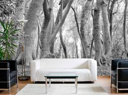 White African Forest Wallpaper