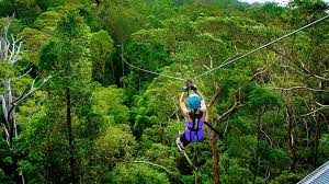 canyon flyer guided zipline tour