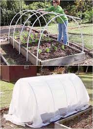40 Best Diy Greenhouses With Easy