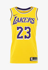 Lebron james lakers icon edition 2020. Nike Performance Nba La Lakers Lebron James Swingman Equipacion De Clubes Amarillo Field Purple White Amarillo Zalando Es
