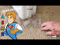 carpet repair guys you