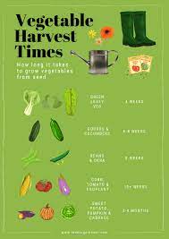 fast growing vegetables edible plants