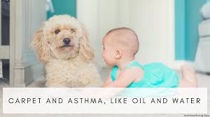 carpet and asthma like oil and water
