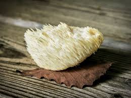 Ready to try some hericium cooking?!? Lion S Mane Mushroom Benefits Side Effects Dosage And Interactions