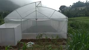 greenhouse polyhouse design