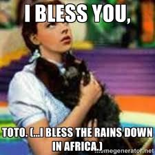 i bless you, Toto. (...i bless the rains down in africa ... via Relatably.com