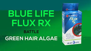 fluconazole for green hair algae