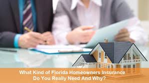 what kind of fl homeowners insurance do