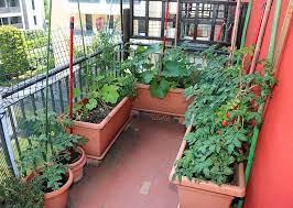 25 Incredible Vegetable Garden Ideas