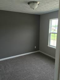 Color Carpet Suits Best With Gray Walls