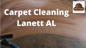 lanett al by pro steam carpet care