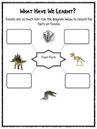 Fossil worksheets and teaching resources. Fossil Facts Worksheets For Kids History And Famous Sites