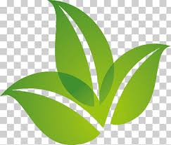 leaf logo png images klipartz
