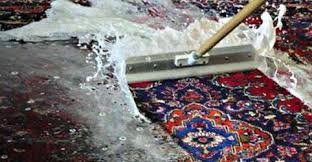 oriental and persian area rug cleaning