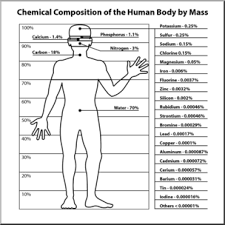 human body chemical composition b w i