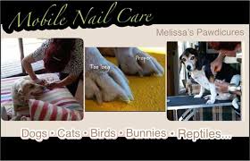 Maybe you would like to learn more about one of these? Melissa S Pawsitive Pawdicures Mobile Pet Nail Trimming Service Pet Services In South Oshawa Parkbench