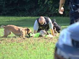 police k9 trainer course for