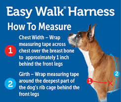 Deluxe Easy Walk Harness By Petsafe Grp Dewh