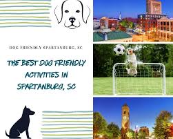 dog friendly activities in spartanburg sc